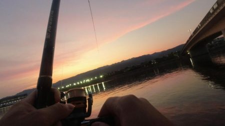 チヌもハネも大きいサイズがなかなか釣れない